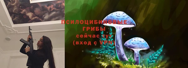 гидра Белоозёрский