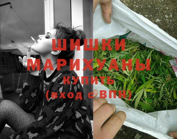 гидра Белоозёрский