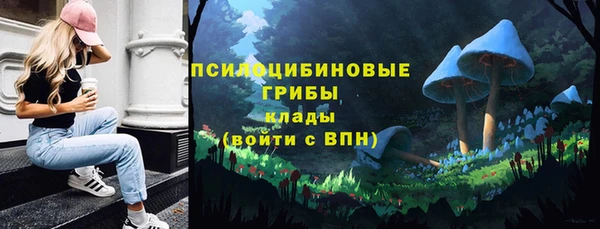 гидра Белоозёрский