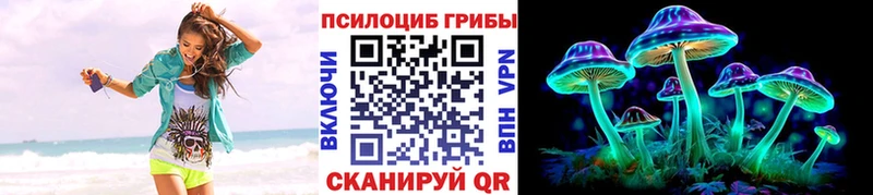 МЕГА сайт мориарти официальный сайт Псилоцибиновые грибы Cubensis Бор