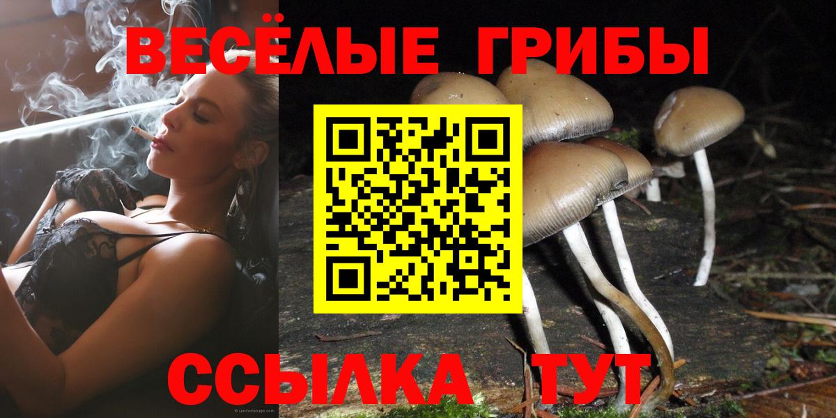 Псилоцибиновые грибы Magic Shrooms Бор