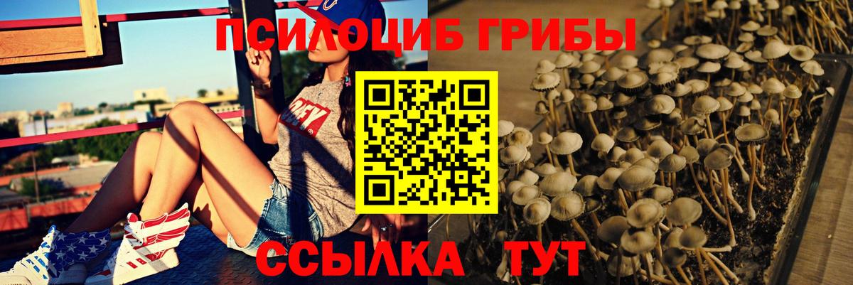 Псилоцибиновые грибы MAGIC MUSHROOMS  наркошоп  Галлюциногенные грибы Psilocybine cubensis  Бор 