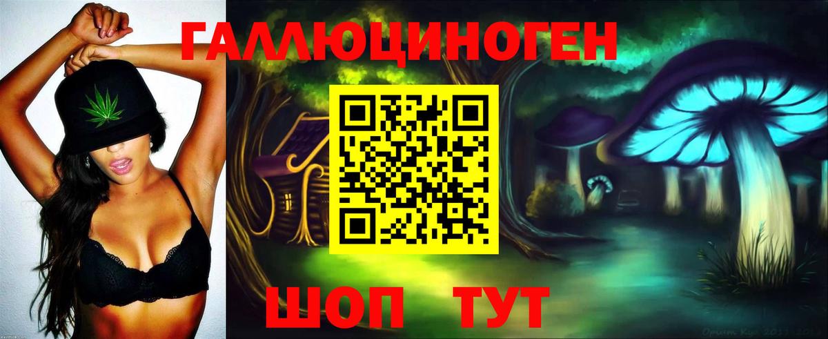 Псилоцибиновые грибы прущие грибы Бор